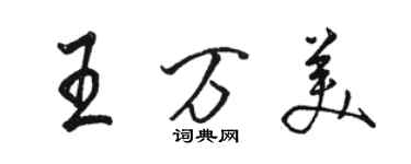 駱恆光王萬美行書個性簽名怎么寫