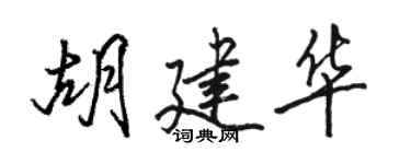 駱恆光胡建華行書個性簽名怎么寫