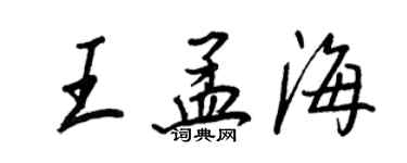王正良王孟海行書個性簽名怎么寫