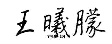 王正良王曦朦行書個性簽名怎么寫