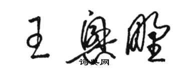 駱恆光王興野草書個性簽名怎么寫