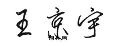 駱恆光王京宇行書個性簽名怎么寫