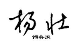 梁錦英楊壯草書個性簽名怎么寫