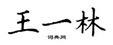 丁謙王一林楷書個性簽名怎么寫