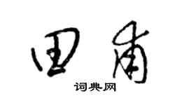 梁錦英田甫草書個性簽名怎么寫