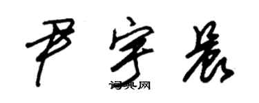 朱錫榮尹宇晨草書個性簽名怎么寫