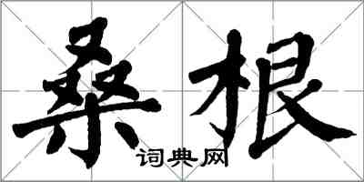 翁闓運桑根楷書怎么寫