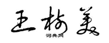 曾慶福王樹美草書個性簽名怎么寫