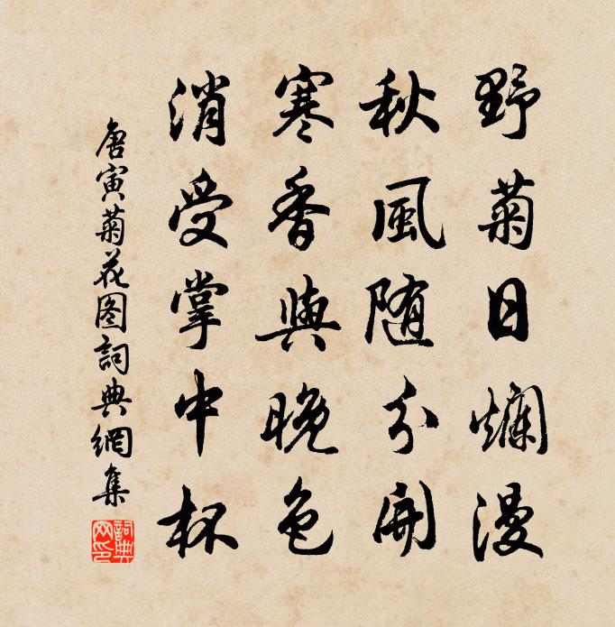 唐寅菊花圖書法作品欣賞