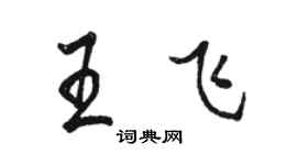 駱恆光王飛行書個性簽名怎么寫