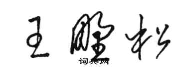 駱恆光王野松草書個性簽名怎么寫