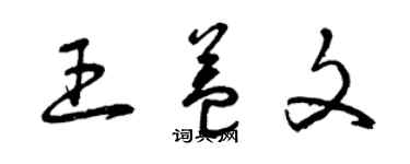 曾慶福王益文草書個性簽名怎么寫