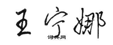 駱恆光王寧娜行書個性簽名怎么寫