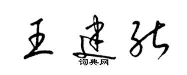 梁錦英王建能草書個性簽名怎么寫