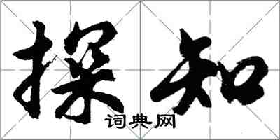 胡問遂探知行書怎么寫