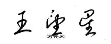 梁錦英王望星草書個性簽名怎么寫