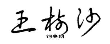 曾慶福王樹沙草書個性簽名怎么寫