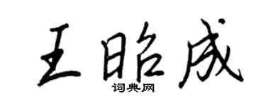 王正良王昭成行書個性簽名怎么寫