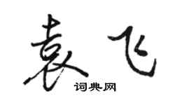 駱恆光袁飛行書個性簽名怎么寫