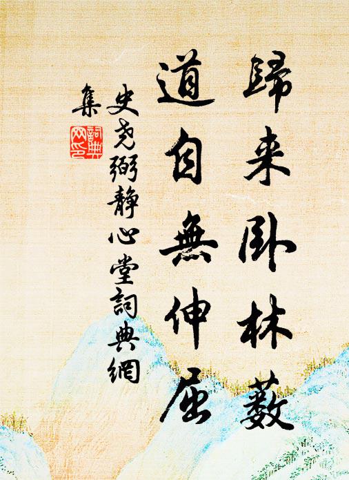 忽然曳杖出山去,安禪後夜知何處 詩詞名句