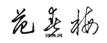 駱恆光范春梅草書個性簽名怎么寫