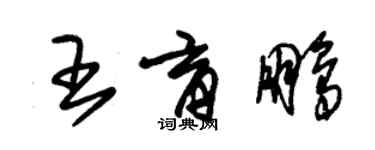 朱錫榮王育鵬草書個性簽名怎么寫