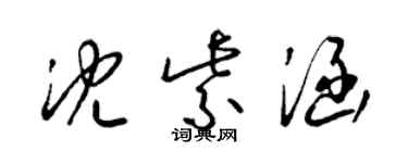 梁錦英沈紫涵草書個性簽名怎么寫