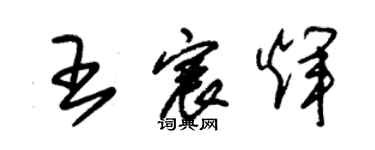 朱錫榮王宸輝草書個性簽名怎么寫