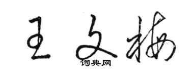 駱恆光王文梅草書個性簽名怎么寫