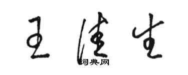 駱恆光王佳生草書個性簽名怎么寫