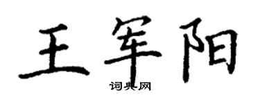 丁謙王軍陽楷書個性簽名怎么寫