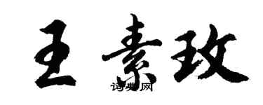 胡問遂王素玫行書個性簽名怎么寫