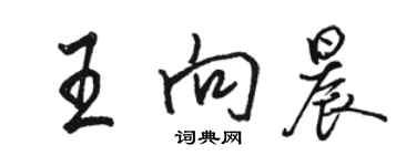 駱恆光王向晨行書個性簽名怎么寫