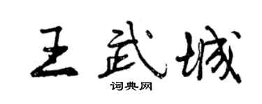 曾慶福王武城行書個性簽名怎么寫