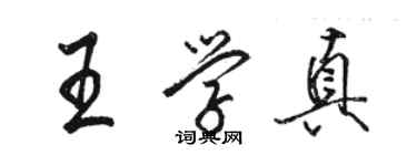 駱恆光王學真行書個性簽名怎么寫