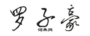 駱恆光羅子豪行書個性簽名怎么寫