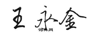 駱恆光王永金行書個性簽名怎么寫