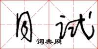 王冬齡月試草書怎么寫