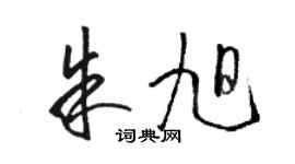 駱恆光朱旭草書個性簽名怎么寫