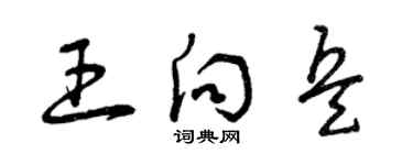 曾慶福王向兵草書個性簽名怎么寫