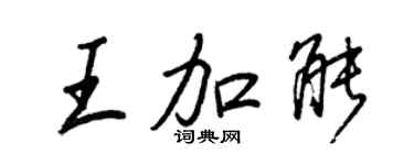 王正良王加能行書個性簽名怎么寫