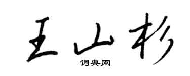 王正良王山杉行書個性簽名怎么寫