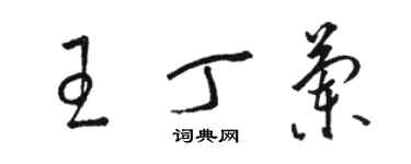 駱恆光王丁蘭草書個性簽名怎么寫