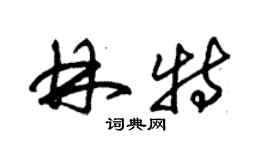 朱錫榮林特草書個性簽名怎么寫