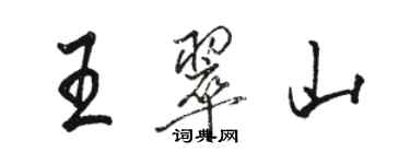 駱恆光王翠山行書個性簽名怎么寫