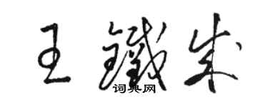 駱恆光王鐵成草書個性簽名怎么寫