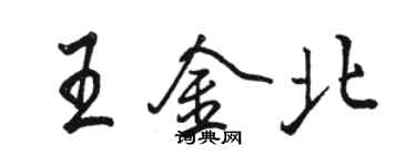 駱恆光王金北行書個性簽名怎么寫