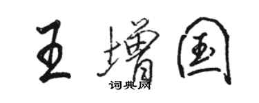 駱恆光王增國行書個性簽名怎么寫