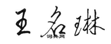駱恆光王名琳行書個性簽名怎么寫