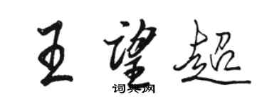 駱恆光王望超行書個性簽名怎么寫